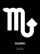 NAXART Studio - Scorpio Zodiac Sign White