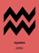 NAXART Studio - Aquarius Zodiac Sign Black