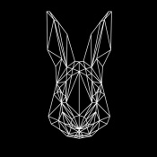NAXART Studio - Rabbit on Black