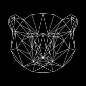 NAXART Studio - Bear Polygon