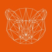 NAXART Studio - Orange Bear Polygon