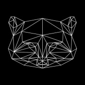 NAXART Studio - Black Raccoon Polygon