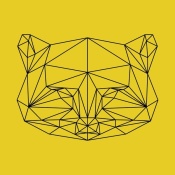 NAXART Studio - Yellow Raccoon Polygon