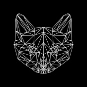 NAXART Studio - Black Cat Polygon