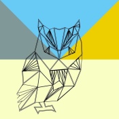 NAXART Studio - Party Owl