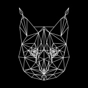NAXART Studio - Bobcat Polygon1