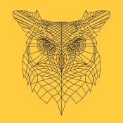 NAXART Studio - Yellow Owl Mesh
