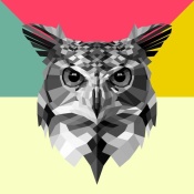 NAXART Studio - Owl Head