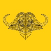 NAXART Studio - Yellow Buffalo Mesh