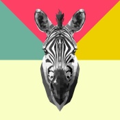 NAXART Studio - Party Zebra Head