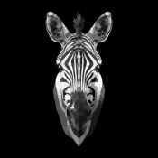NAXART Studio - Black Zebra Head