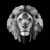 NAXART Studio - Lion Head