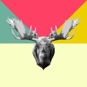 NAXART Studio - Party Moose
