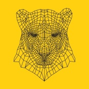 NAXART Studio - Panther Head Yellow Mesh