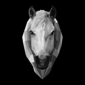 NAXART Studio - Horse Head