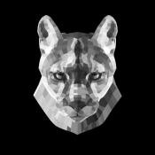 NAXART Studio - Mountain Lion Head