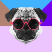 NAXART Studio - Party Pug in Pink Glasses