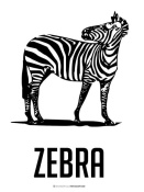 NAXART Studio - Zebra Black