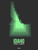 NAXART Studio - Idaho Radiant Map 5