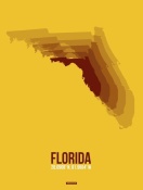 NAXART Studio - Florida Radiant Map 3