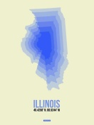 NAXART Studio - Illinois Radiant Map 1