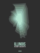 NAXART Studio - Illinois Radiant Map 4