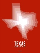 NAXART Studio - Texas Radiant Map 3