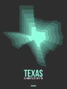 NAXART Studio - Texas Radiant Map 6