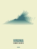 NAXART Studio - Virginia Radiant Map 3