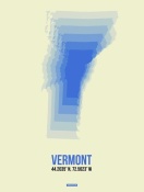 NAXART Studio - Vermont Radiant Map 1