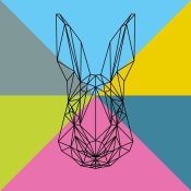 NAXART Studio - Party Rabbit