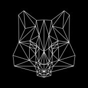 NAXART Studio - Fox on  Black