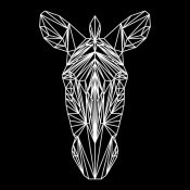 NAXART Studio - Zebra on Black