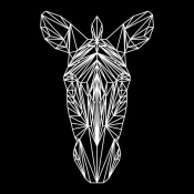 NAXART Studio - Zebra on Black