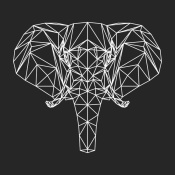 NAXART Studio - Elephant Polygon