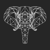 NAXART Studio - Elephant Polygon