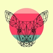 NAXART Studio - Baby Deer and Sunset