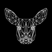 NAXART Studio - Baby Deer Polygon