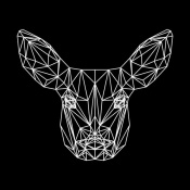 NAXART Studio - Baby Deer Polygon