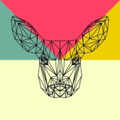 NAXART Studio - Baby Deer Polygon