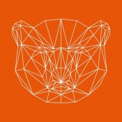 NAXART Studio - Orange Bear Polygon