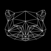 NAXART Studio - Black Raccoon Polygon