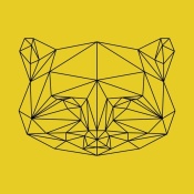 NAXART Studio - Yellow Raccoon Polygon