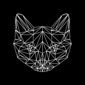 NAXART Studio - Black Cat Polygon