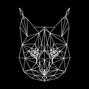 NAXART Studio - Bobcat Polygon1