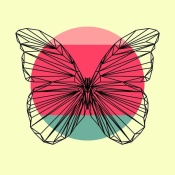 NAXART Studio - Butterfly and Sunset