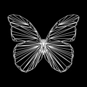 NAXART Studio - Butterfly Polygon