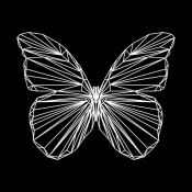 NAXART Studio - Butterfly Polygon