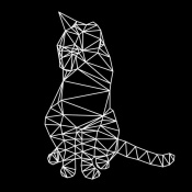 NAXART Studio - Smart Cat Polygon