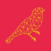 NAXART Studio - Bird Polygon
